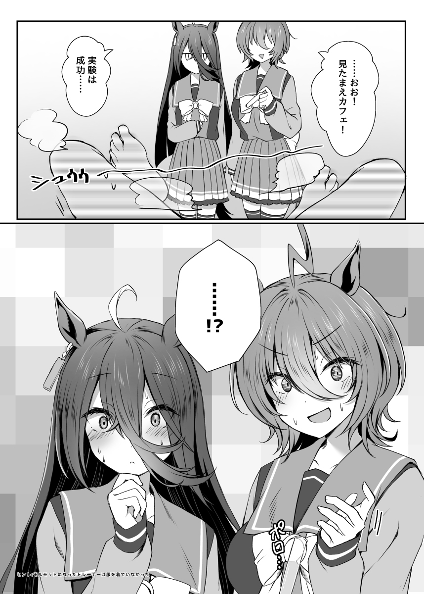 紫阳花总结