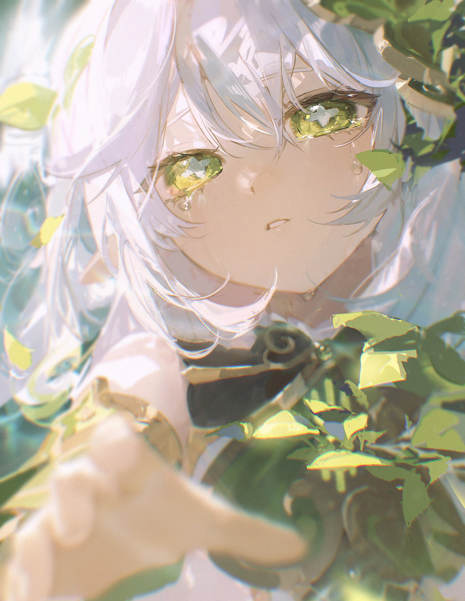 梦
