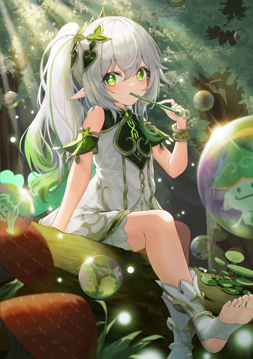 纳希达