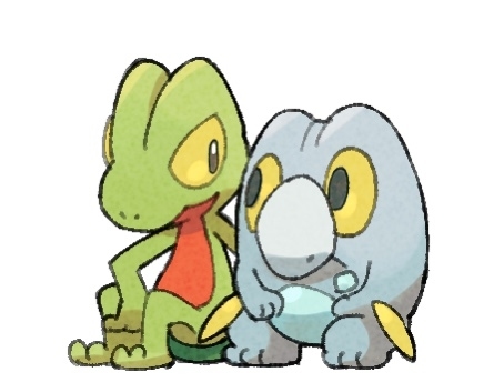 Pkmn总结5