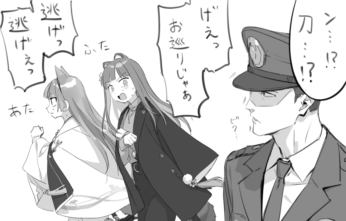 狸猫