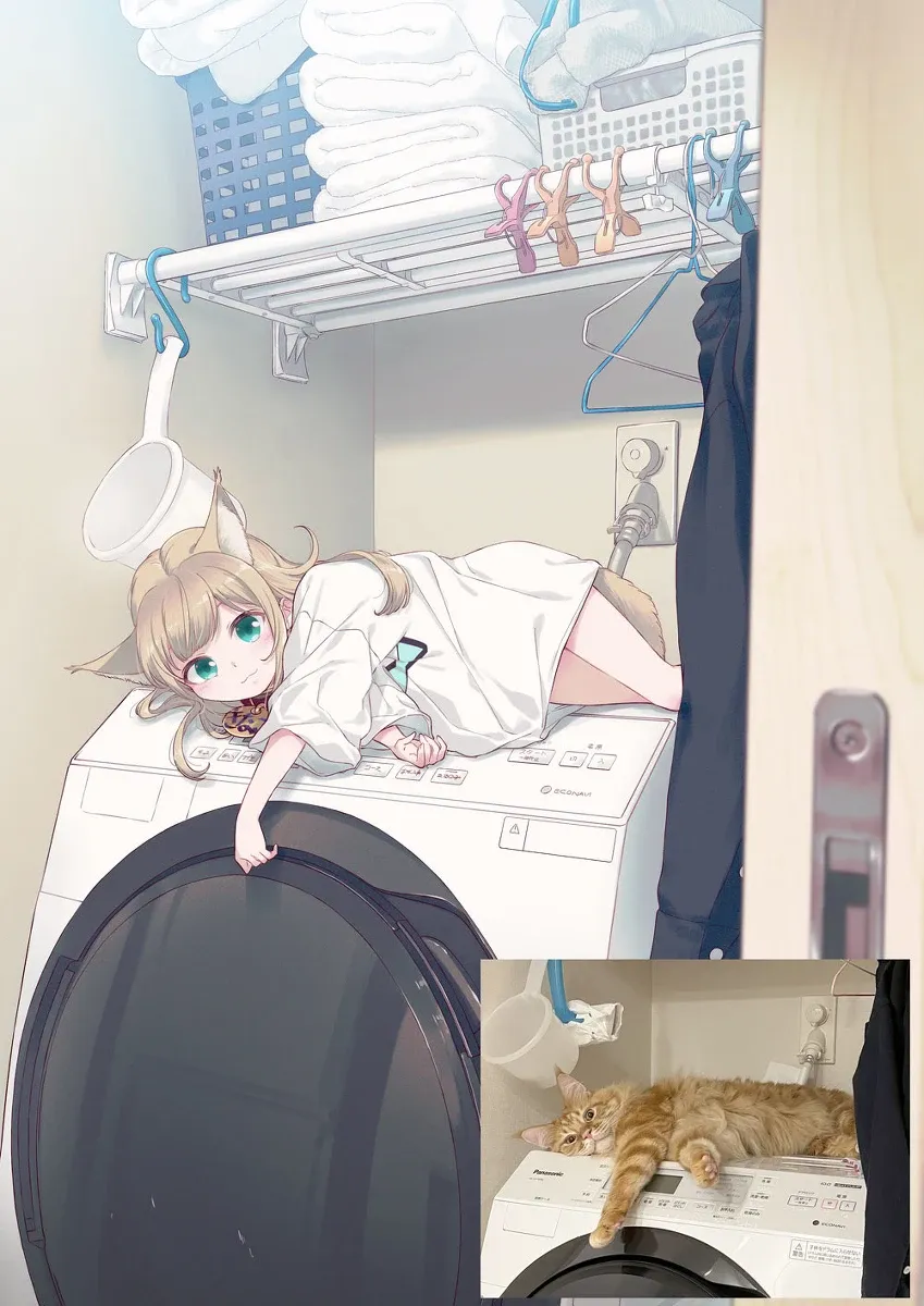 最近最喜欢的是洗衣机🐾