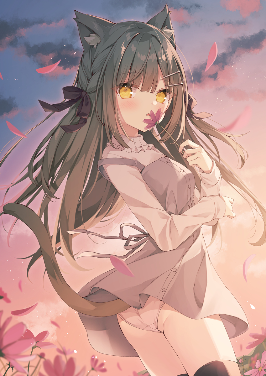 秋樱