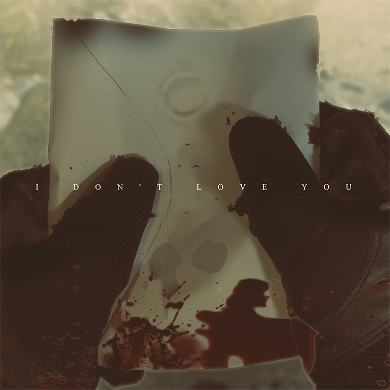 I DON'T LOVE YOU