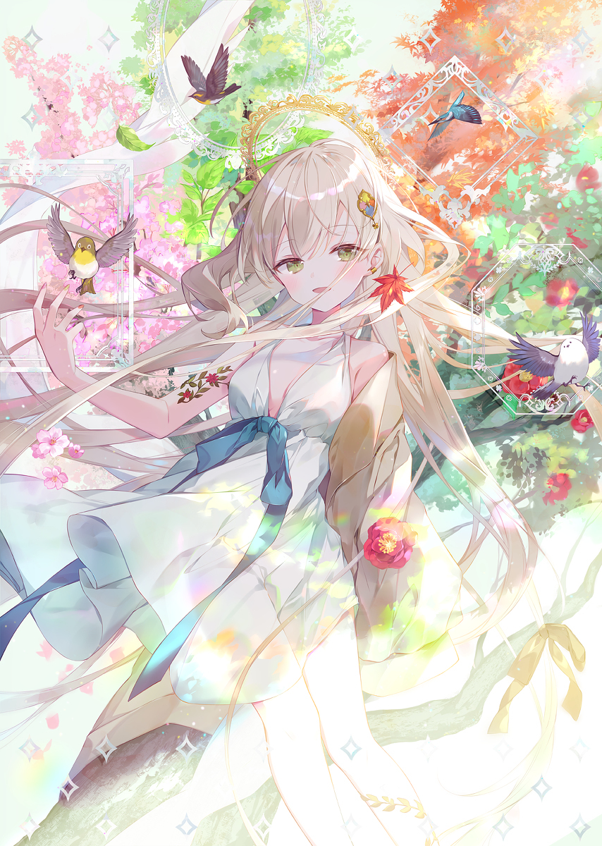 Seasons