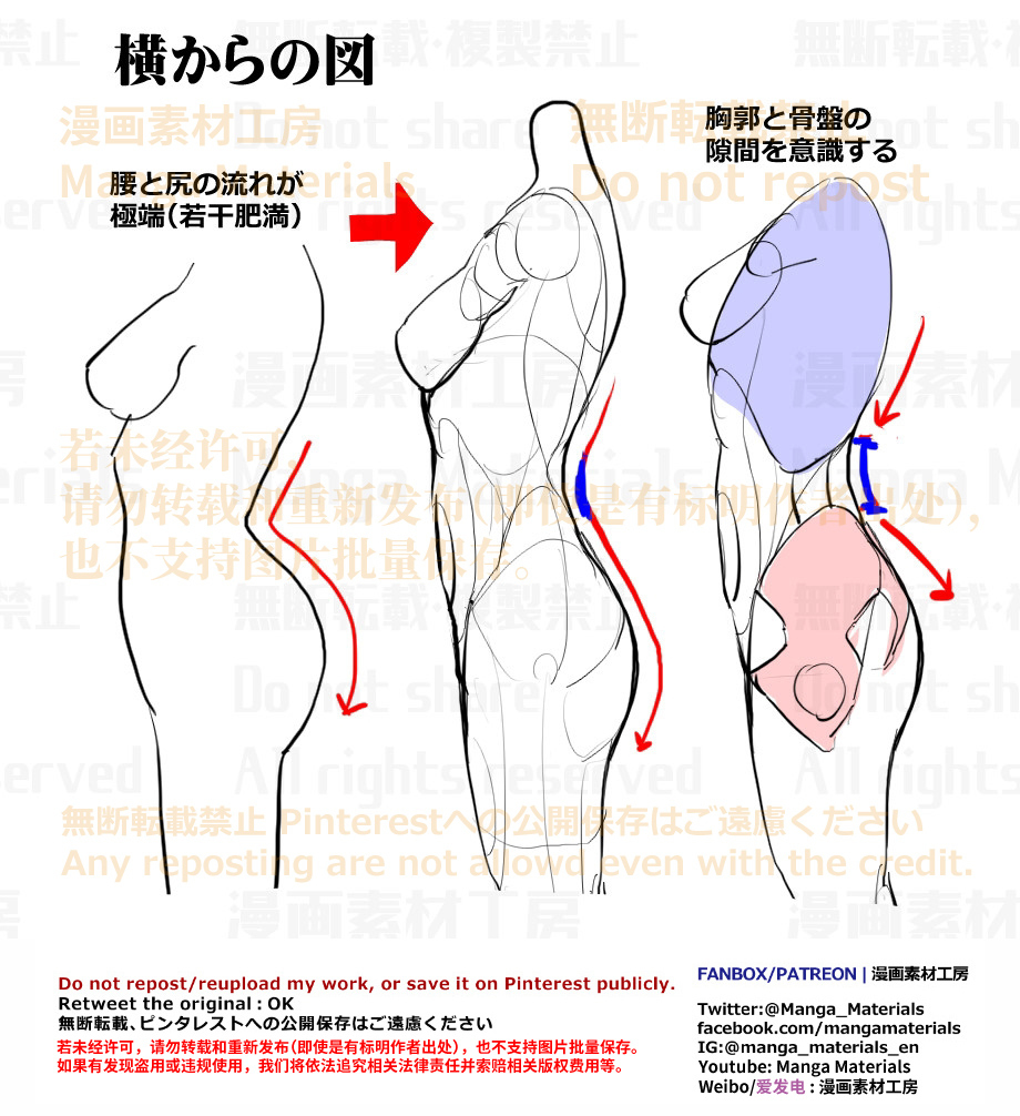 個人メモ：横向きの体