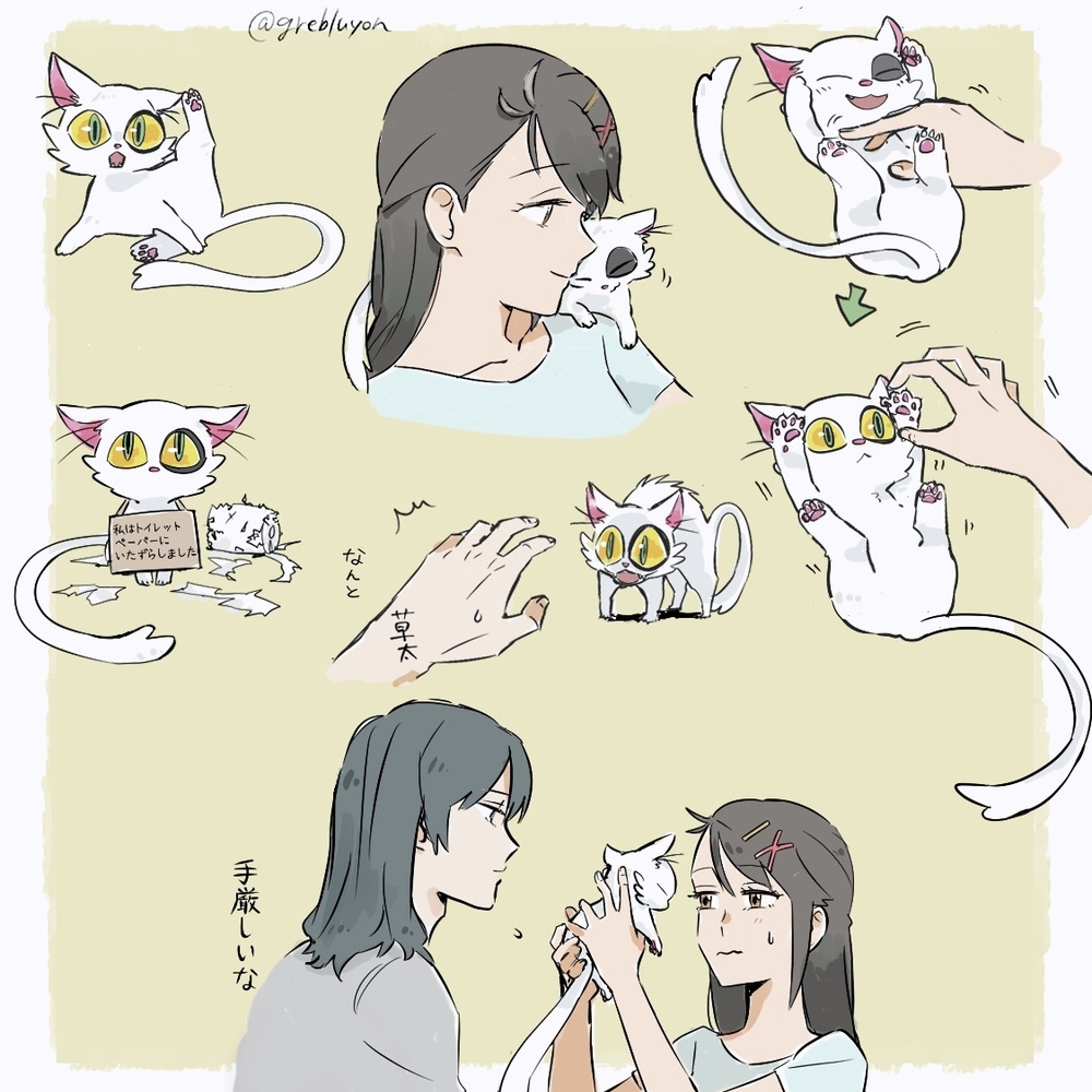 和戴金一起