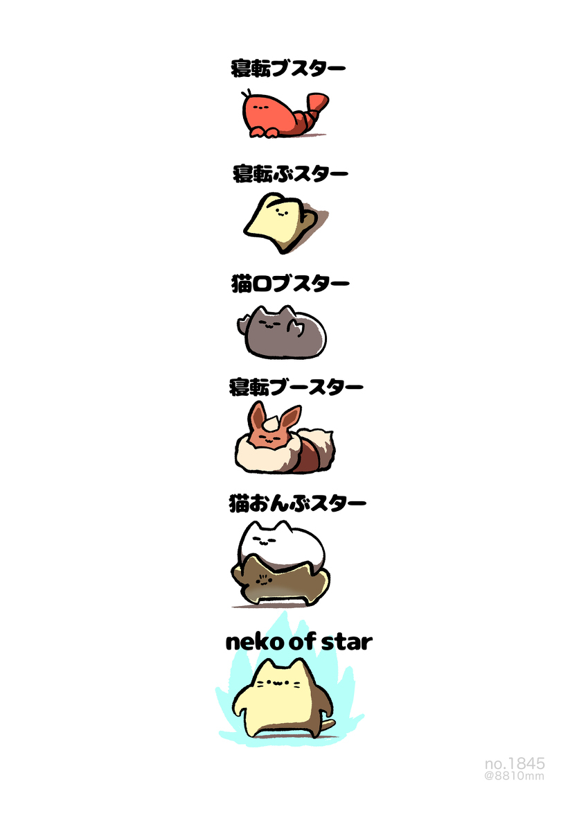 No.1845《neko of star》