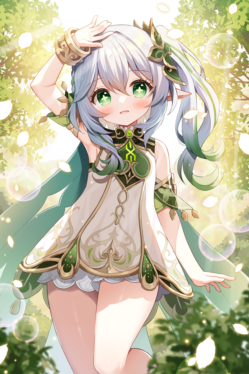 纳希达