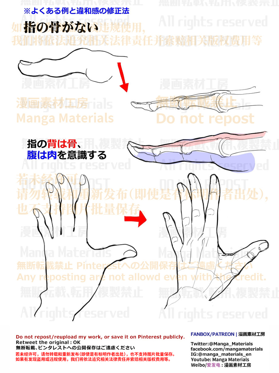 個人メモ：指の関節
