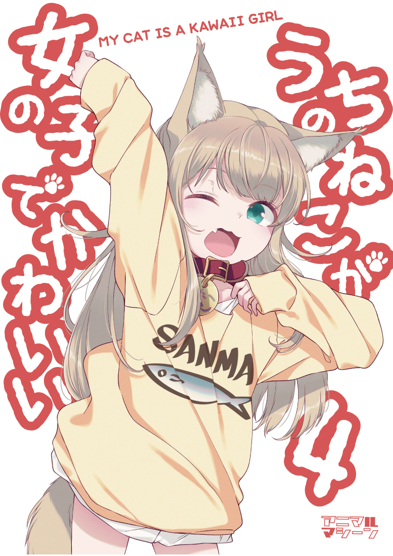 我家的猫是女孩,可爱的第四卷