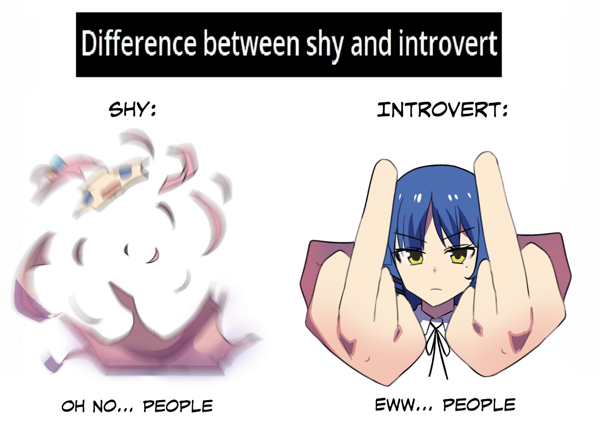 Shy vs Introvert