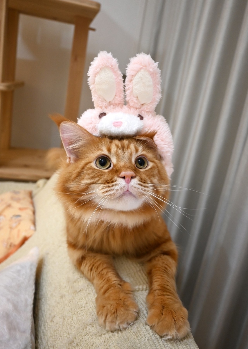 🎉🐇HappyNewYear🐇🎉