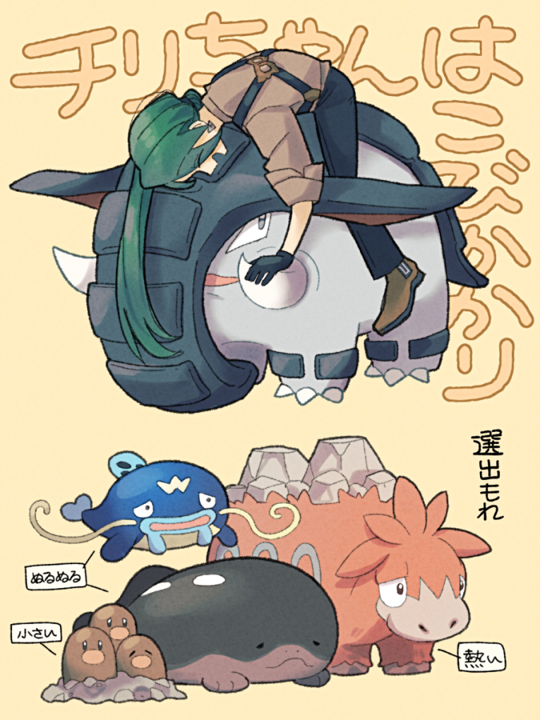 Pkmn总结6