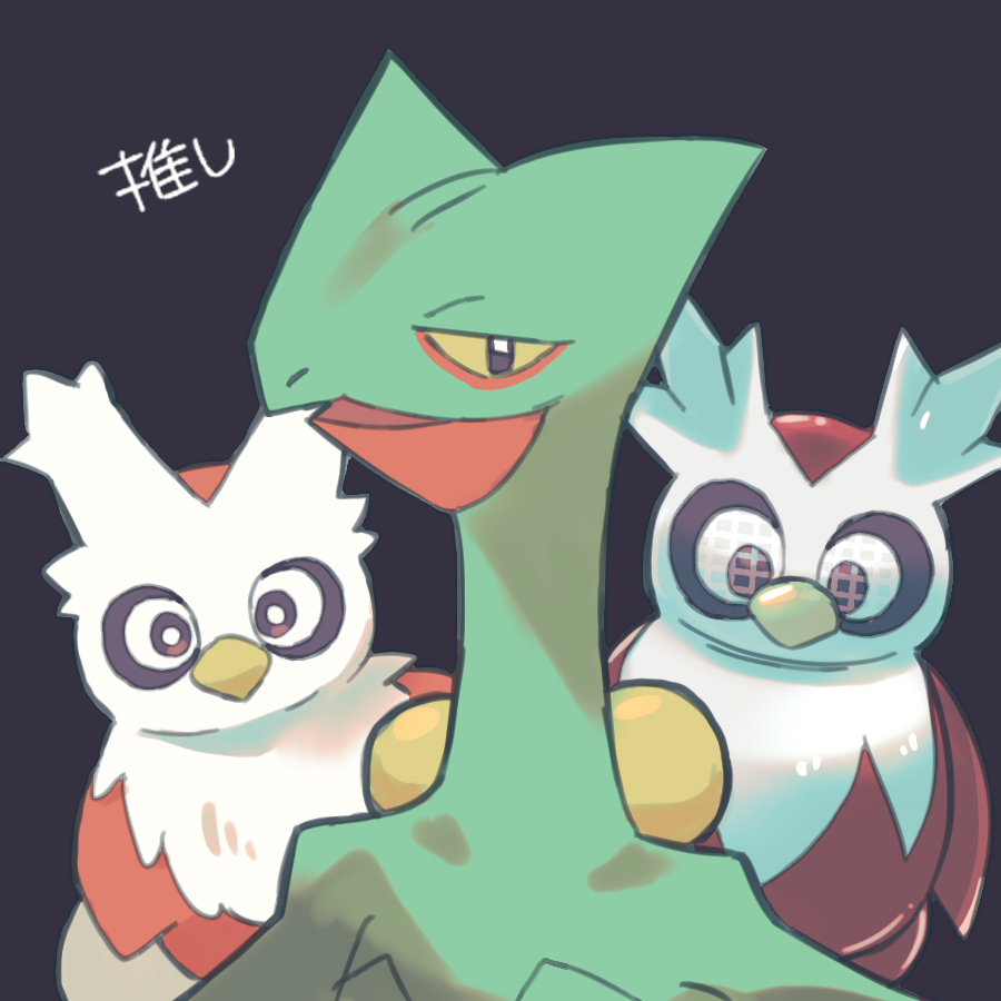 Pkmn总结6