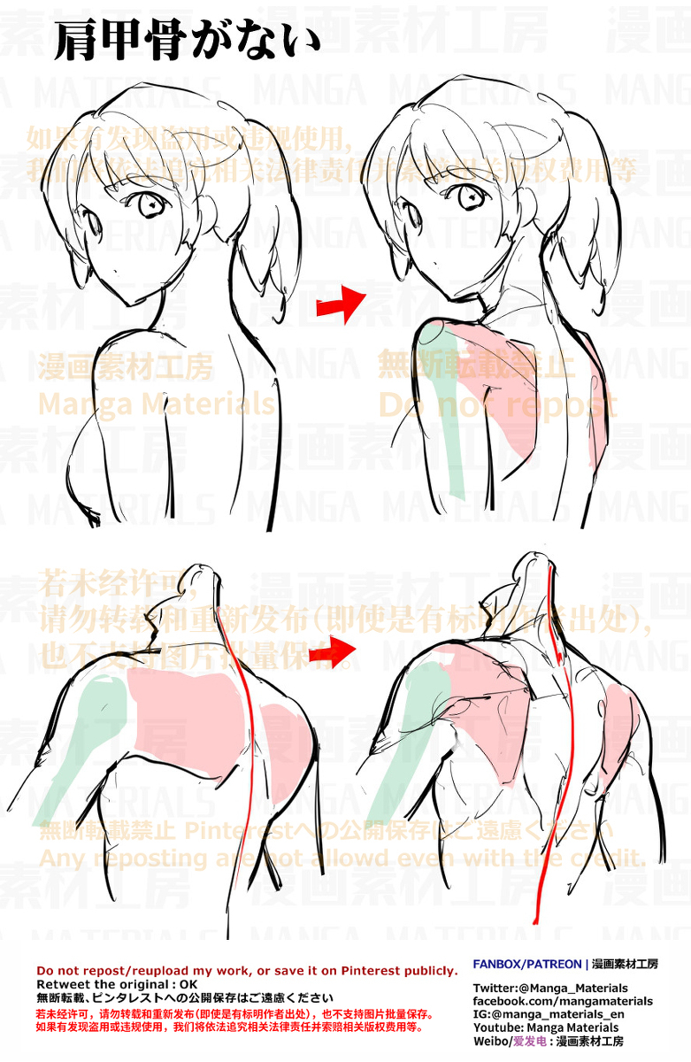 個人メモ：背中のよくある違和感（肩甲骨）