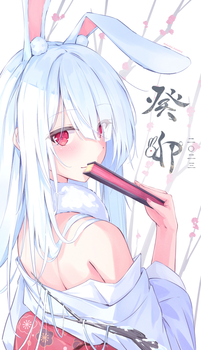 2023兔黎明!