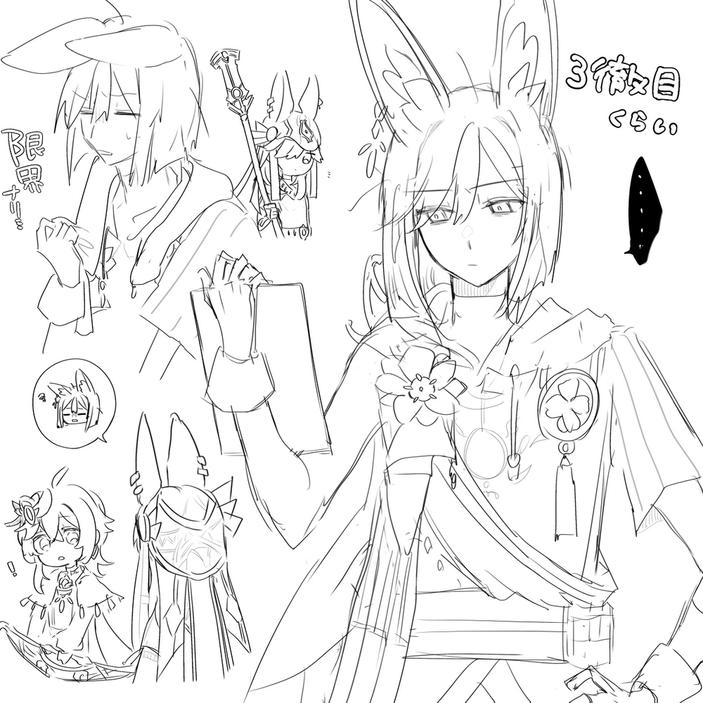 塞诺纳利 ②