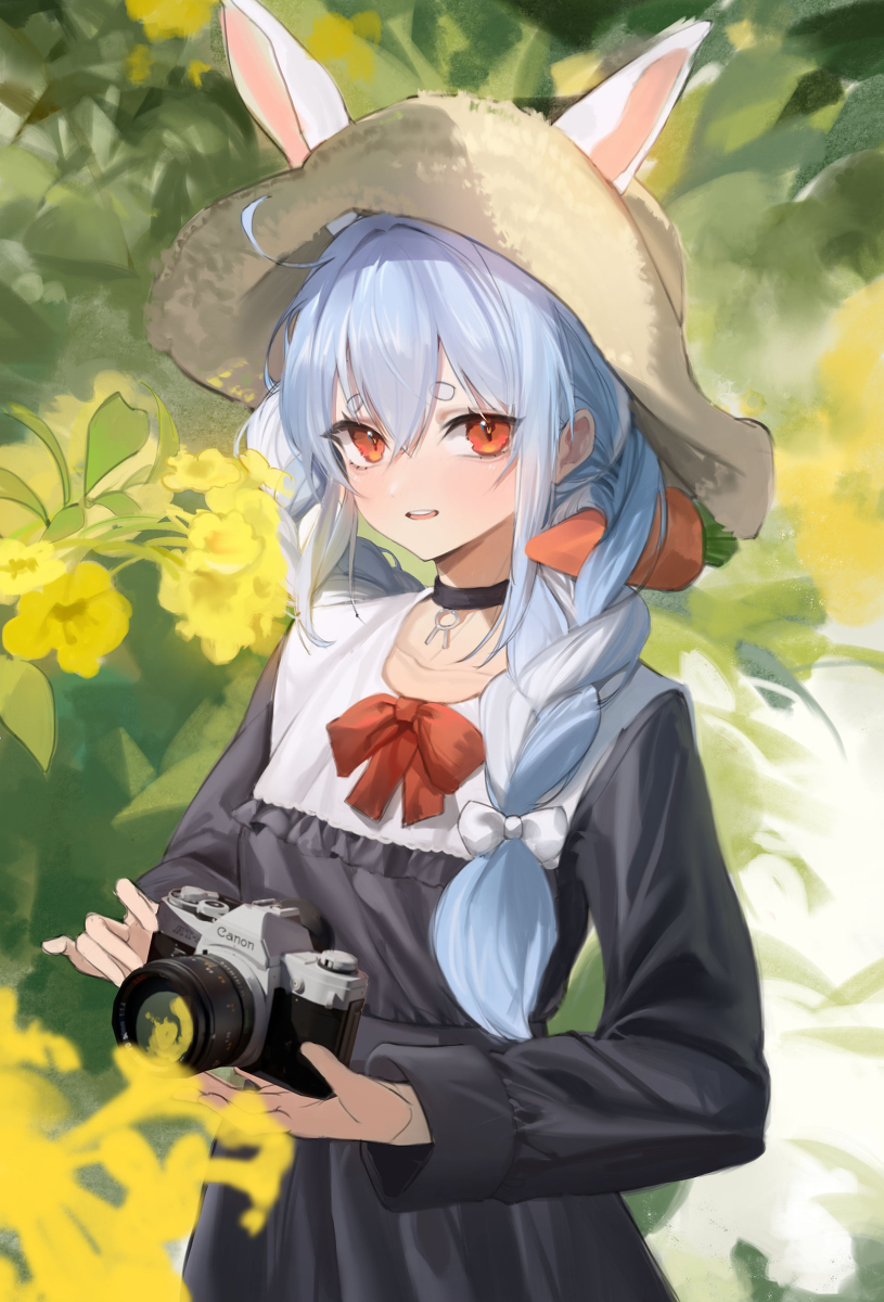 Photo study