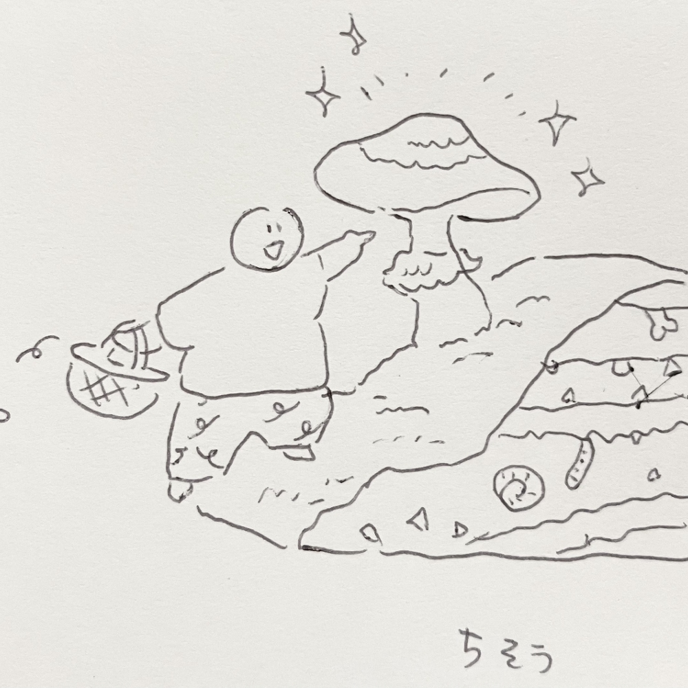 圆珠笔