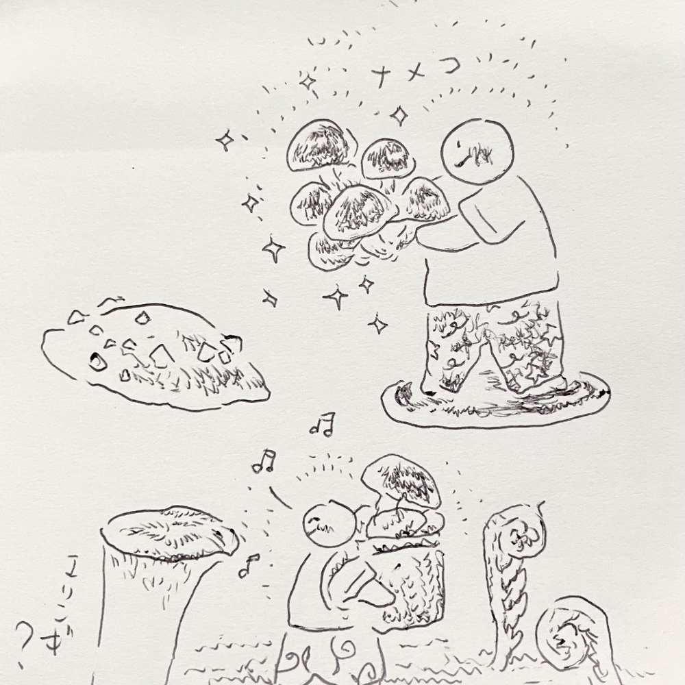 圆珠笔