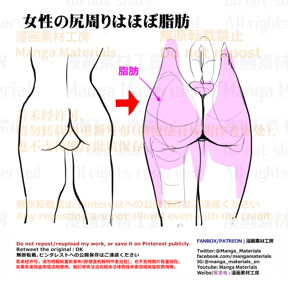 個人メモ：女性の*