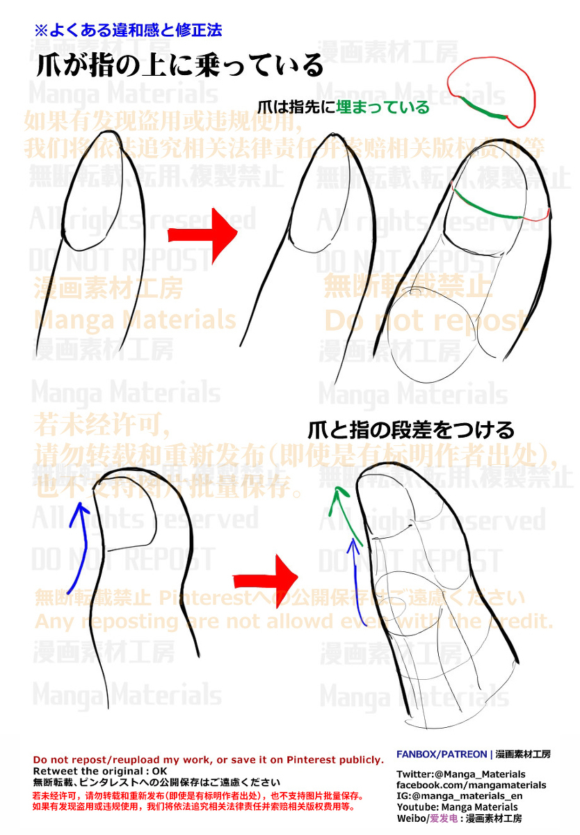 個人メモ：指先～爪の立体