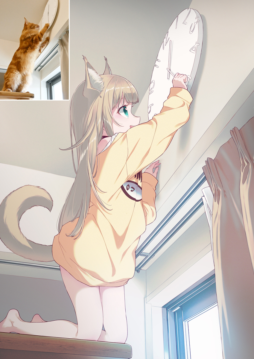 我发现了一个新的玩具⏰🐈