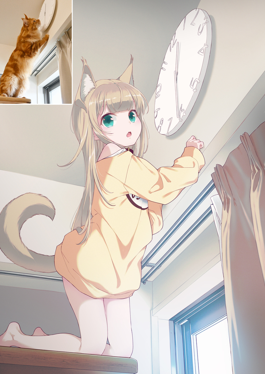 我发现了一个新的玩具⏰🐈