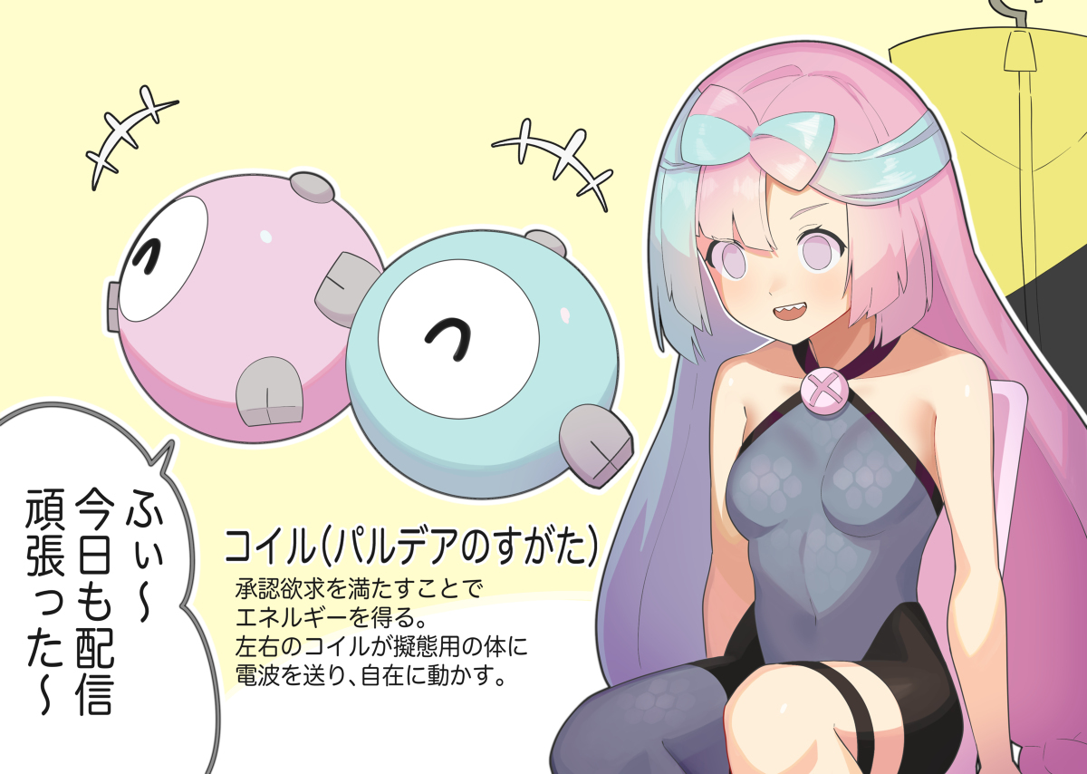 南贾莫的主体