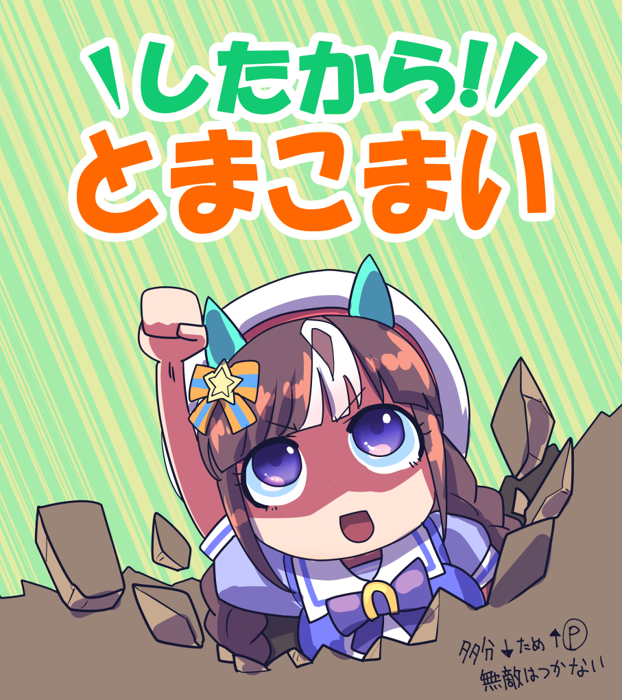 【马娘】马娘总结25【插图7张】在推特上投稿了