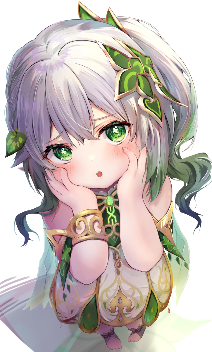 纳希达