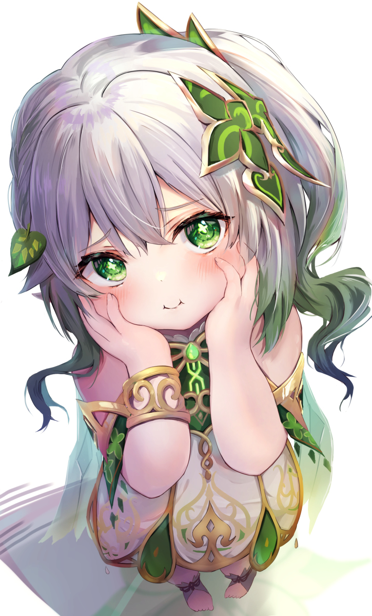 纳希达