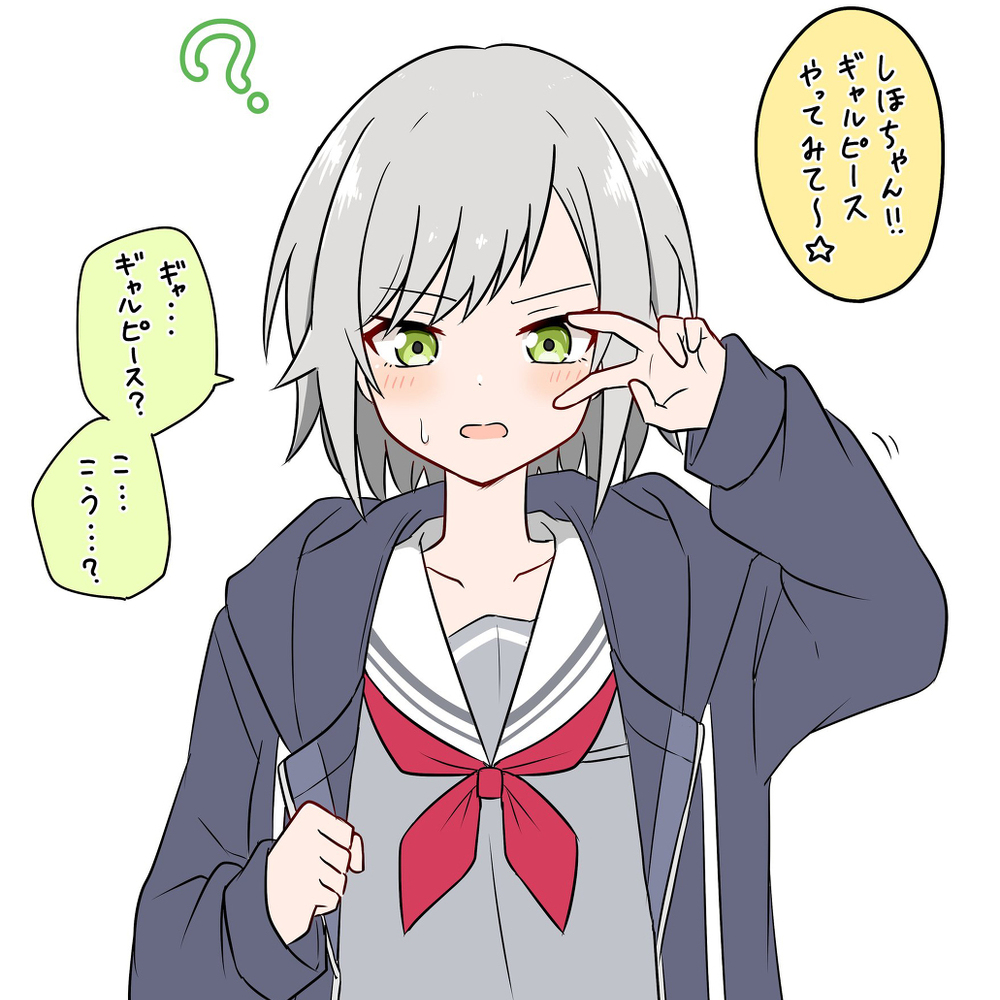 Twitter总结 (proseca) ⑨