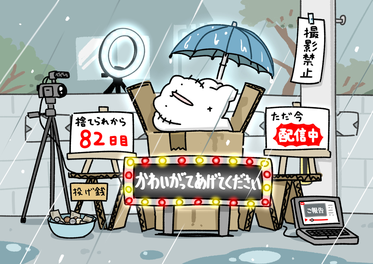 该死的弃猫