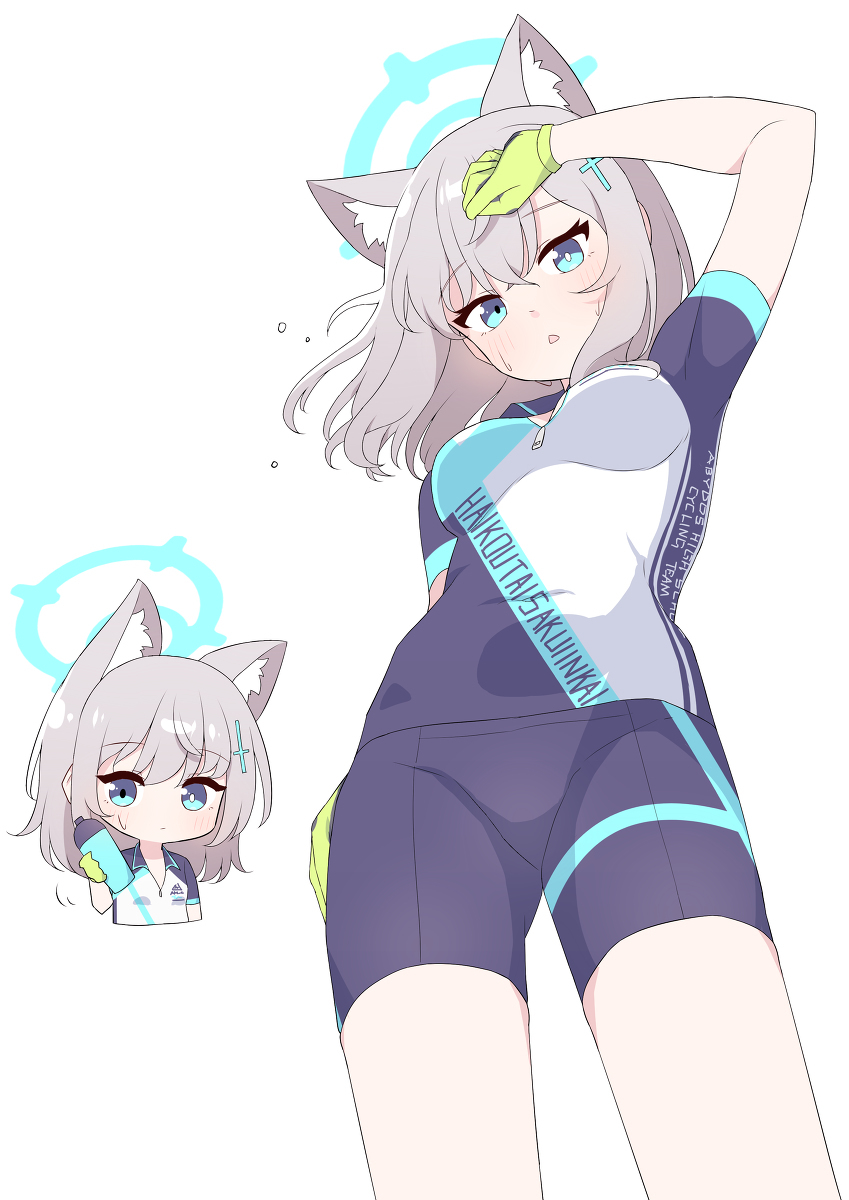 沙狼西洛科