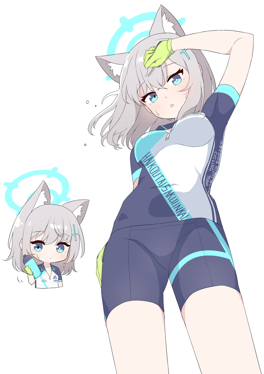 沙狼西洛科