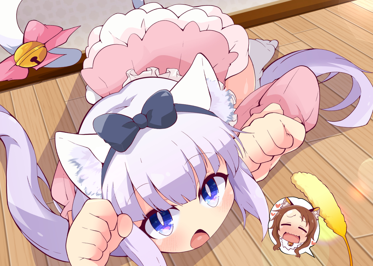 猫日戛纳小姐