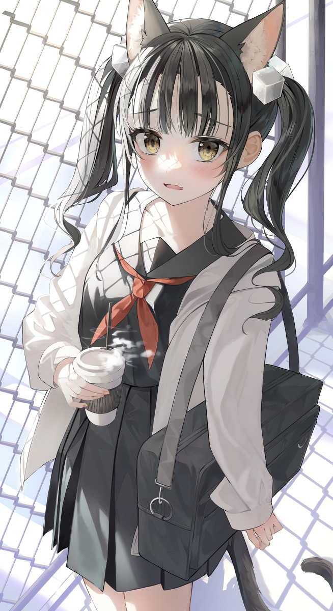 猫咪