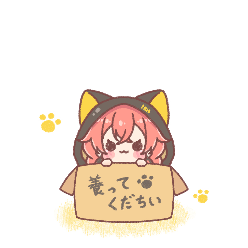 ぴっかぴかのあかりちゃん🐱💫