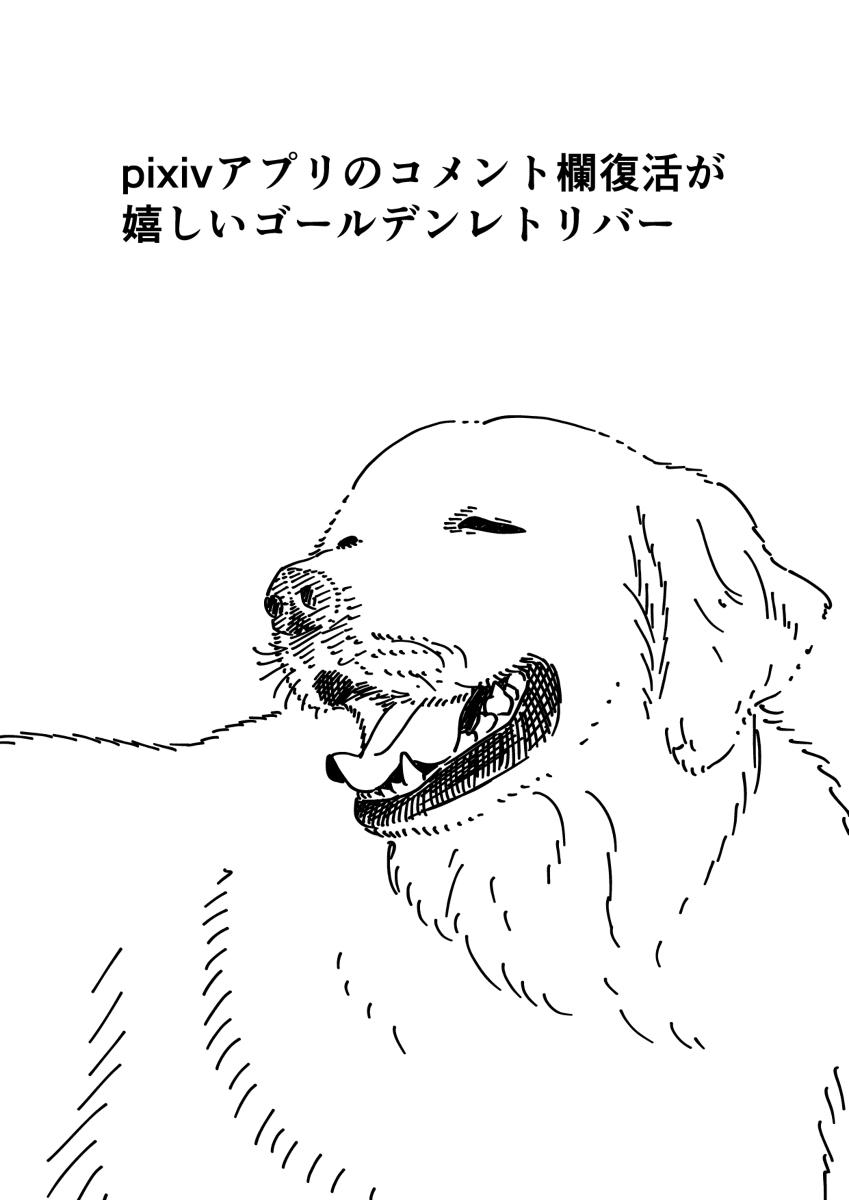 专栏复活纪念