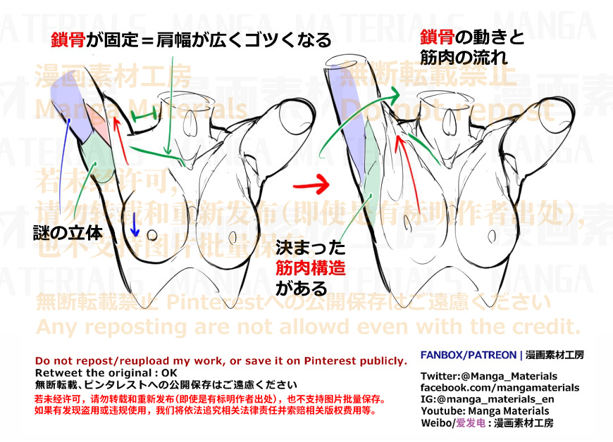 個人メモ：可動によるワキ周りの立体変化
