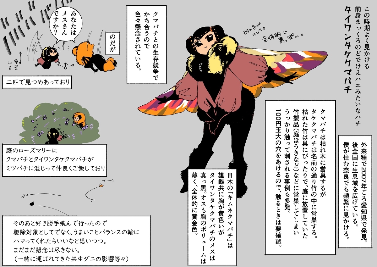 2023年度天然害虫巴士