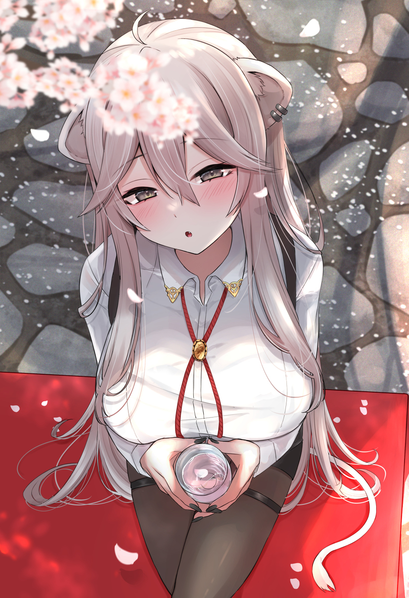 赏花吧
