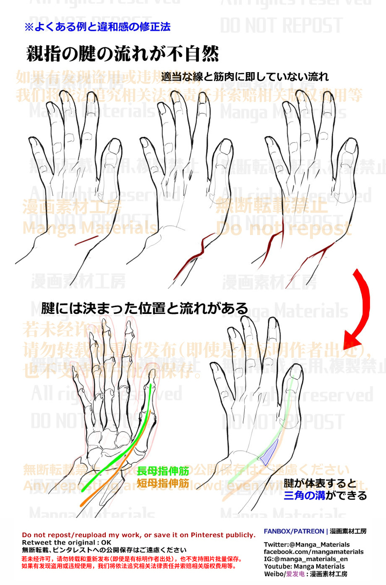 個人メモ：手の基本・指の腱