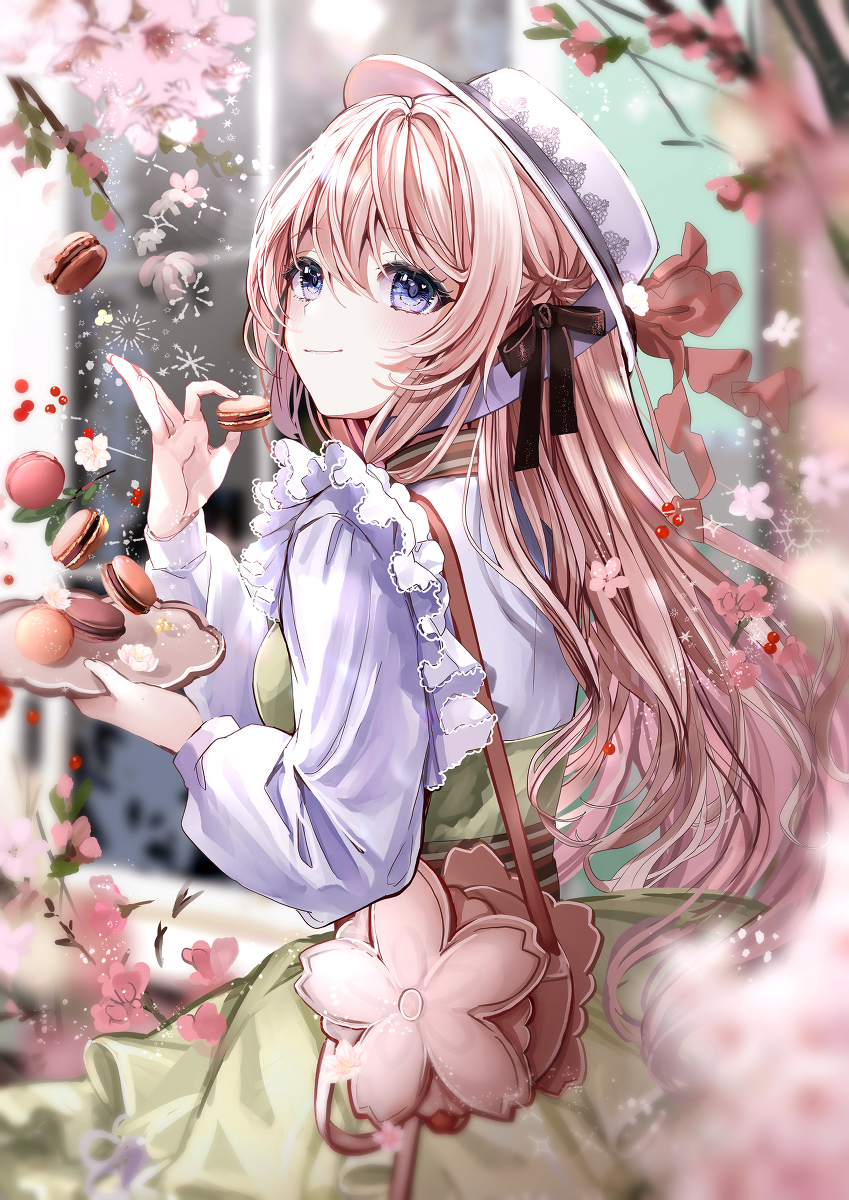 樱花和马卡龙