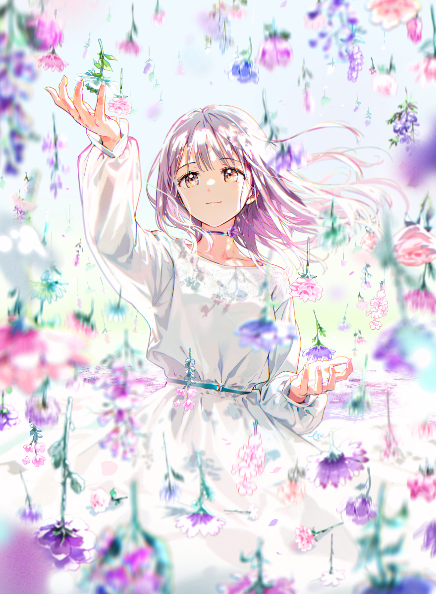 花时雨