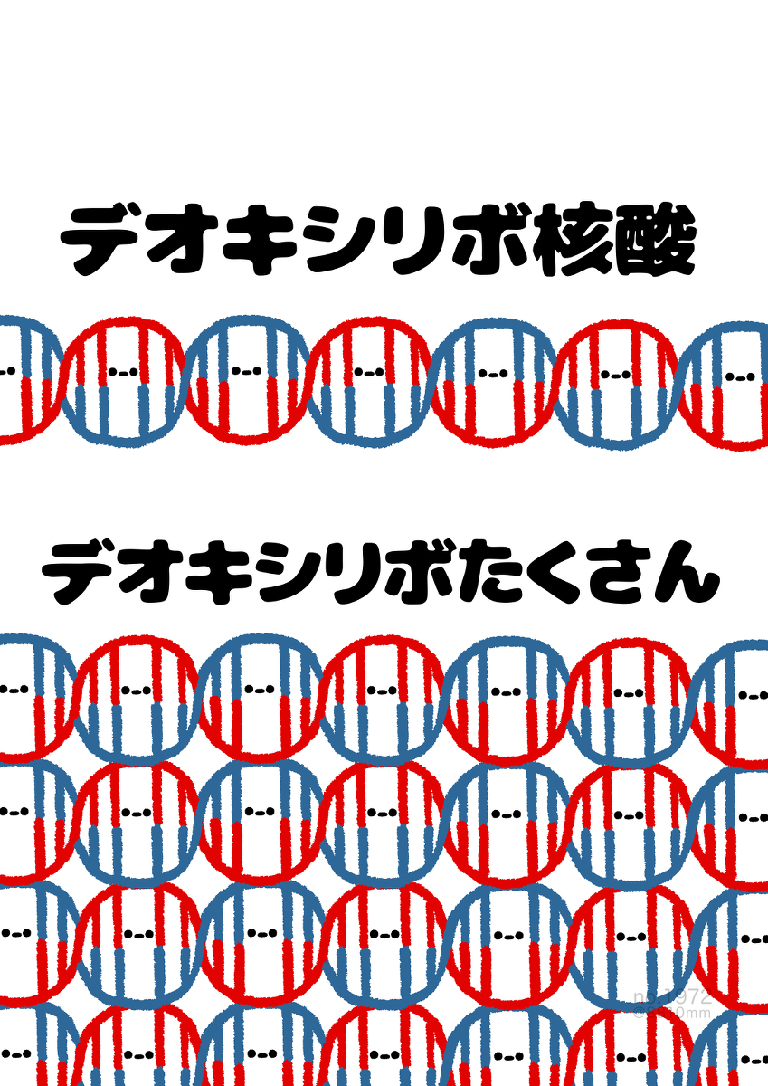 No.1972『《脱氧核糖体很多》