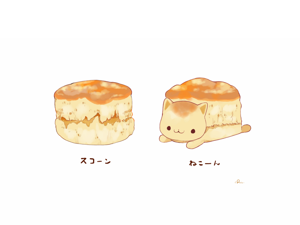 斯康