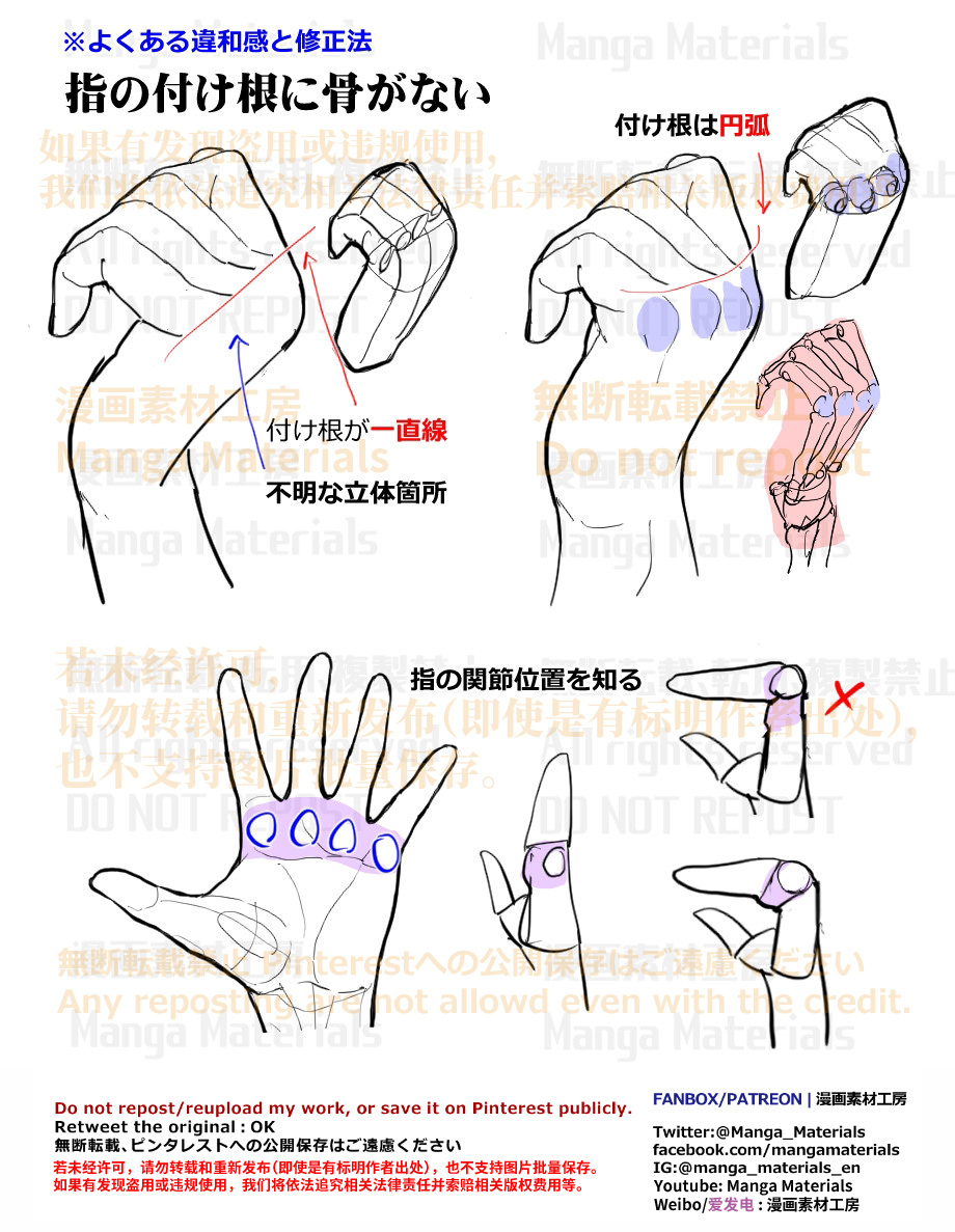 個人メモ：指の骨と関節